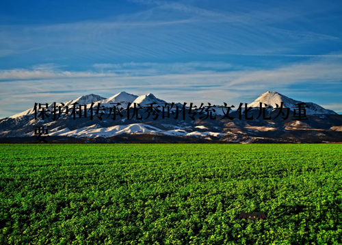 保护和传承优秀的传统文化尤为重要