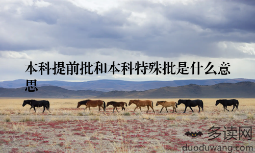 本科提前批和本科特殊批是什么意思