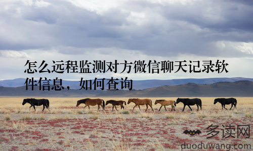怎么远程监测对方微信聊天记录软件信息，如何查询