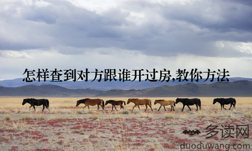 怎样查到对方跟谁开过房,教你方法