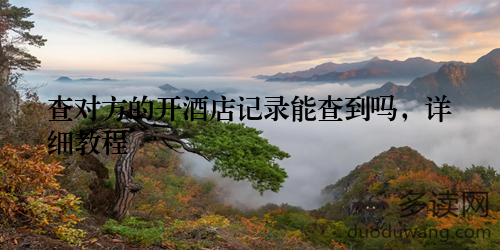 查对方的开酒店记录能查到吗，详细教程