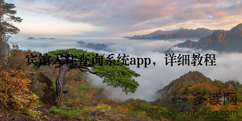 宾馆入住查询系统app,详细教程