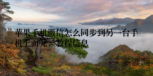 苹果手机微信怎么同步到另一台手机上面呢,教程信息