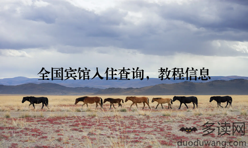 全国宾馆入住查询,教程信息
