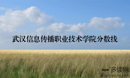 武汉信息传播职业技术学院分数线