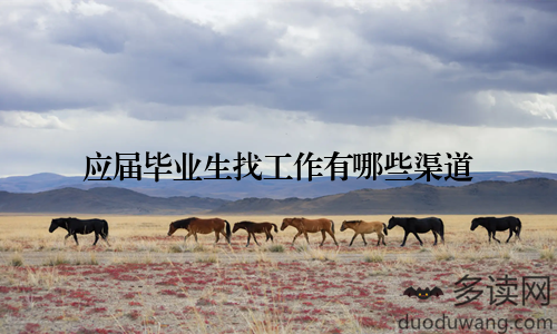 应届毕业生找工作有哪些渠道