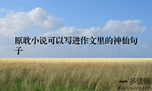 原耽小说可以写进作文里的神仙句子