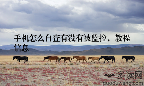 手机怎么自查有没有被监控，教程信息