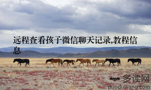 远程查看孩子微信聊天记录,教程信息