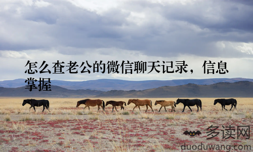 怎么查老公的微信聊天记录,信息掌握