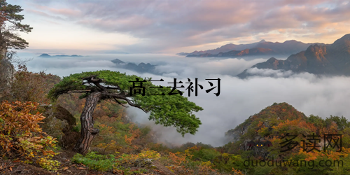 高三去补习