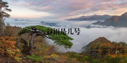 谷雨是几号