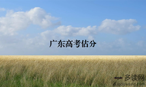 广东高考估分