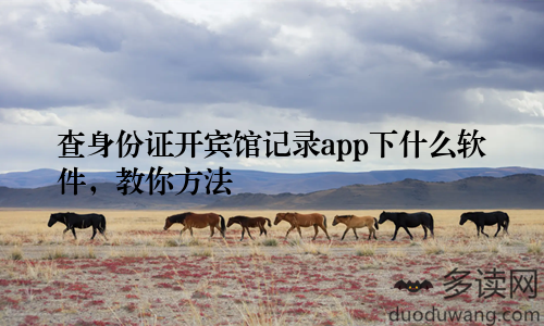 查身份证开宾馆记录app下什么软件，教你方法