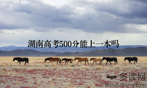 湖南高考500分能上一本吗