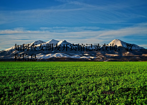 如何查女朋友开宾馆记录查询,教程信息