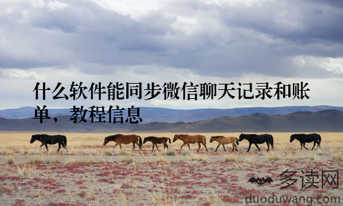 什么软件能同步微信聊天记录和账单，教程信息