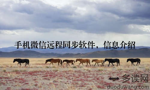 手机微信远程同步软件，信息介绍