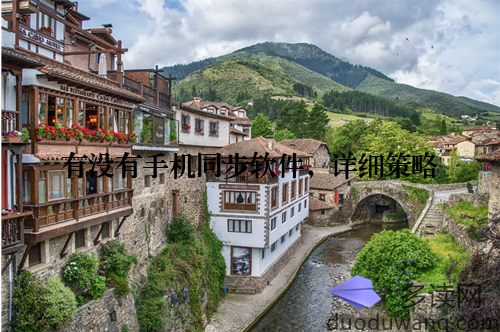有没有手机同步软件，详细策略