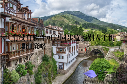 有没有软件可以同步监控别人手机，详细策略