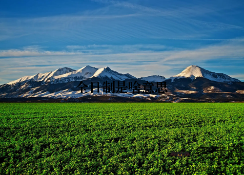 全日制是啥意思