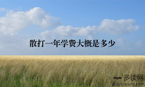 散打一年学费大概是多少
