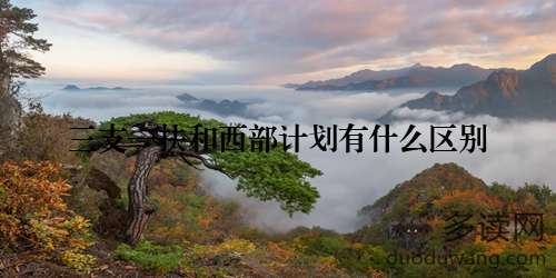 三支一扶和西部计划有什么区别