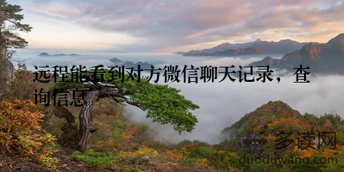 远程能看到对方微信聊天记录，查询信息