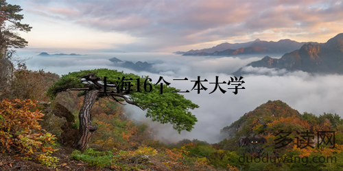 上海16个二本大学