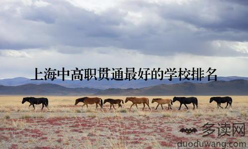 上海中高职贯通最好的学校排名