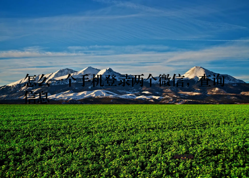 怎么一个手机登录两个微信，查询信息