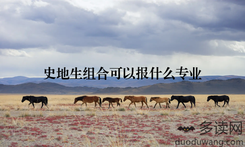 史地生组合可以报什么专业