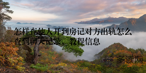 怎样查他人开到房记对方出轨怎么查到聊天记录，教程信息