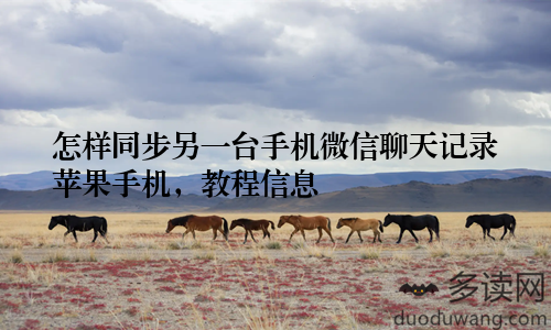 怎样同步另一台手机微信聊天记录苹果手机，教程信息