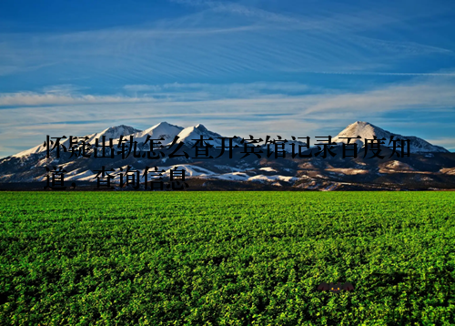 怀疑出轨怎么查开宾馆记录百度知道，查询信息