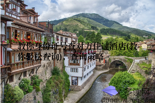 教你身份证号查对方住过酒店(教你轻松查询)，查询策略