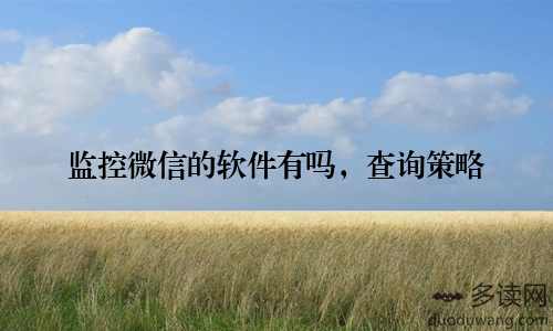 监控微信的软件有吗，查询策略