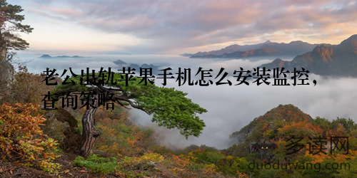 老公出轨苹果手机怎么安装监控，查询策略