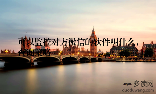 可以监控对方微信的软件叫什么，查询策略