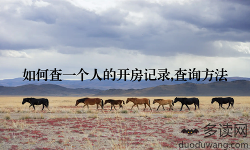 如何查一个人的开房记录,查询方法