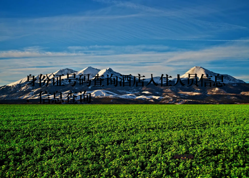 身份证号码查询酒店入住人员信息，信息查询