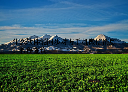 什么软件能同步对方手机微信消息，教程查询