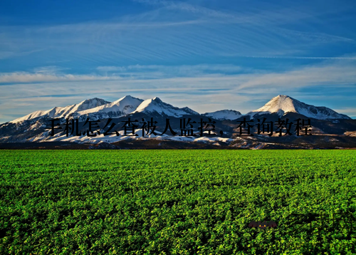 手机怎么查被人监控，查询教程