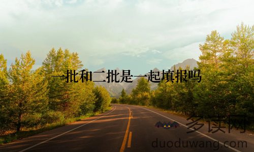 一批和二批是一起填报吗