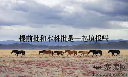 提前批和本科批是一起填报吗