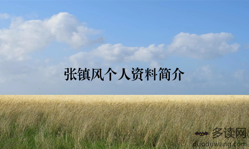 张镇风个人资料简介