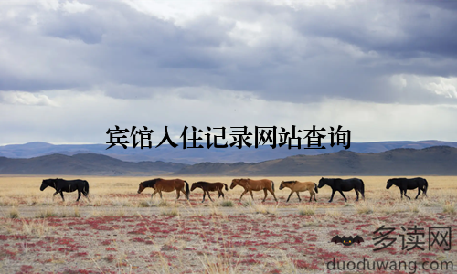 宾馆入住记录网站查询
