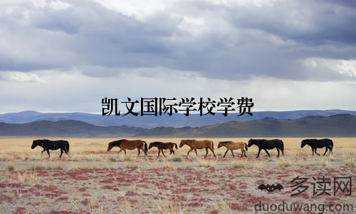 凯文国际学校学费