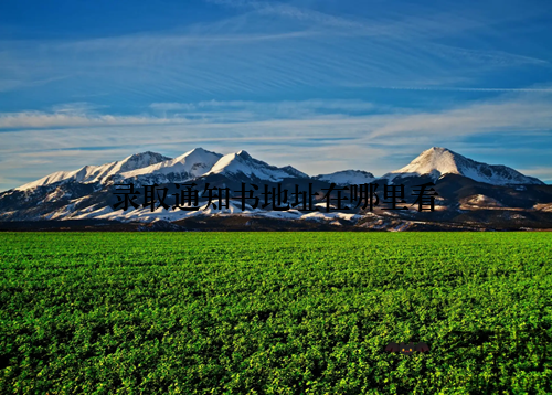 录取通知书地址在哪里看