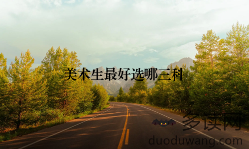 美术生最好选哪三科